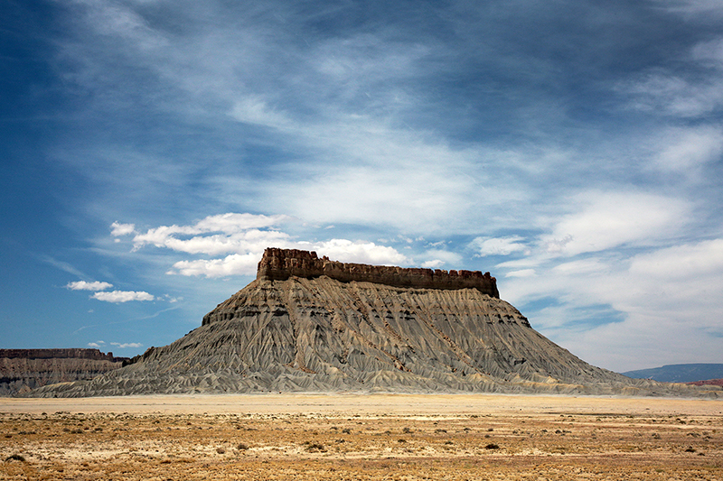 Bison : Antelope Island : Utah : Landscape Photos : Richard Moore : Photographer